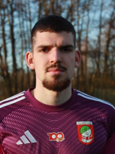 Nico Stege