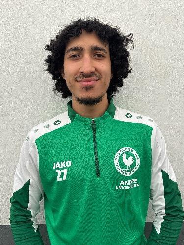 Ahmed Oweis