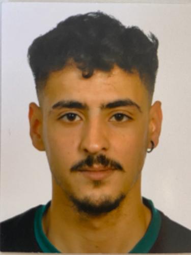 Henni Ayoub