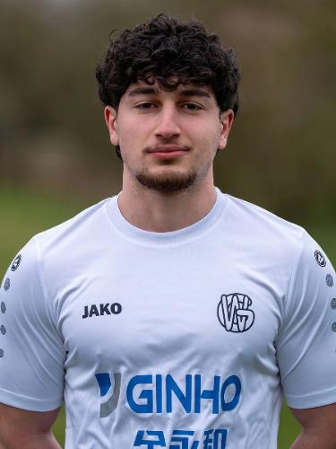 Arian Temur