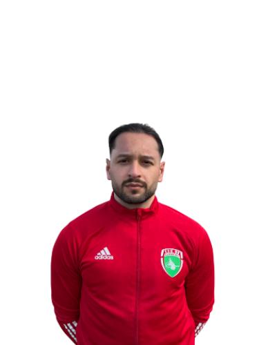 Sefa Demiral