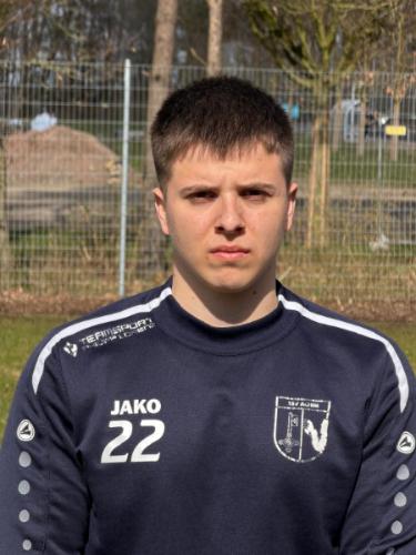 Victor Beregoi