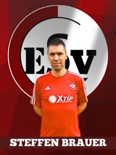 Steffen Brauer