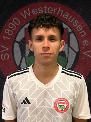 Carlos Daniel Rojas Peredes