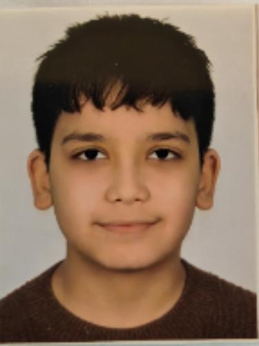 Amir Arsalan Poya