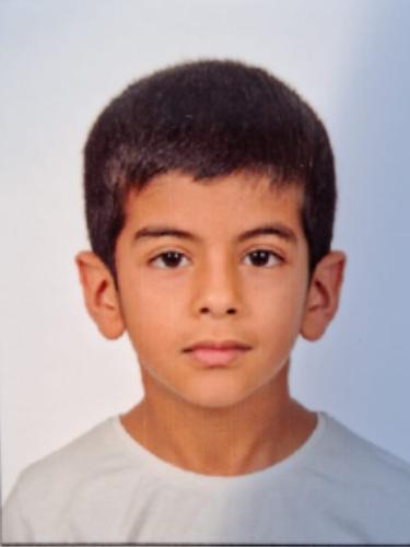 Ali Almansour