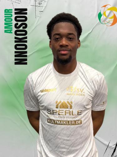Amour Nnokoson