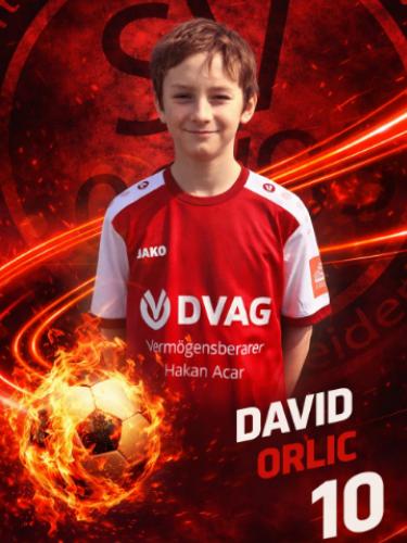 David Orlic