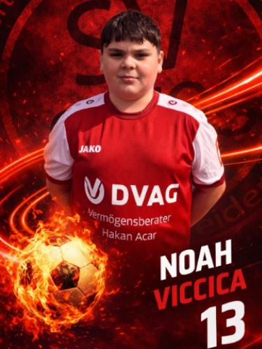 Noah Nicolo Viccica