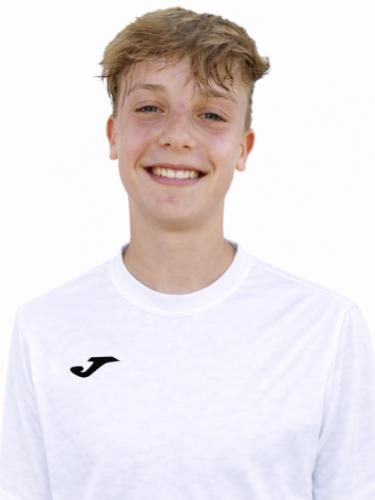 Niklas Moser