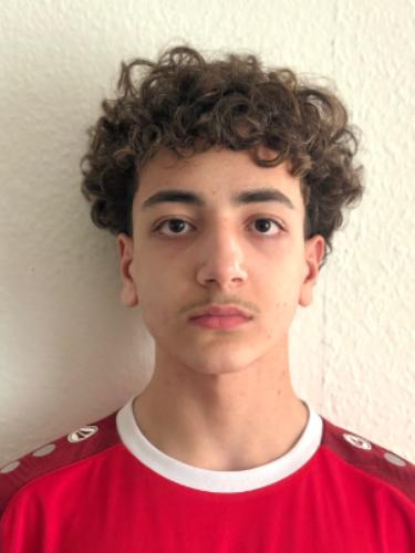 Amirparsa Solati