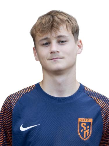 Henrik Niemzok