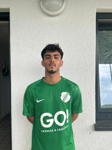 Erfan Mir Mohammadi
