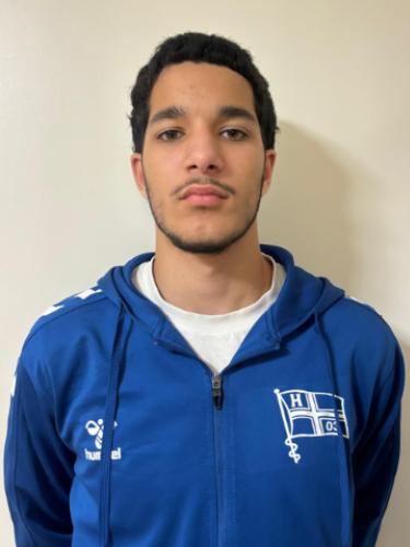 Salih Isik
