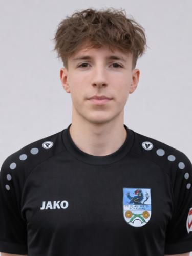 Julius Gneist