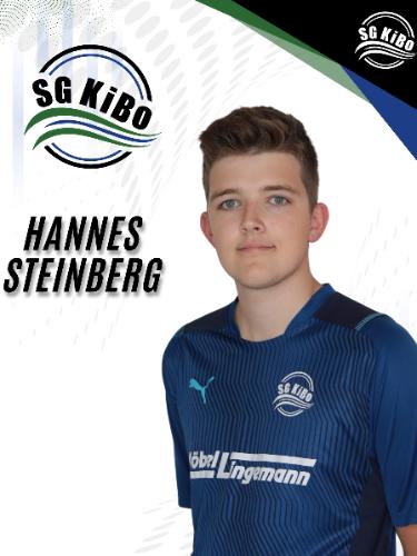 Hannes Steinberg