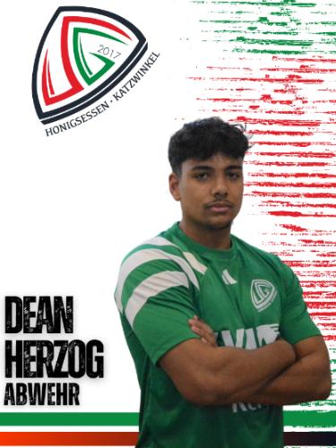 Dean Marek Herzog