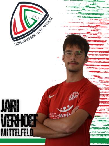 Johan Arie Verhoef