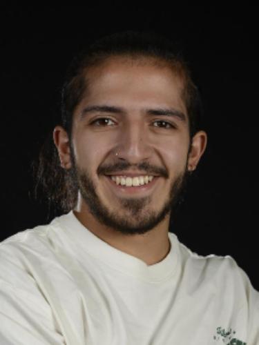 Cristian Santiago Sepulveda Villamil