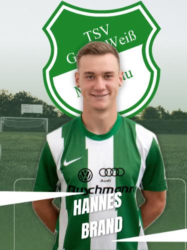 Hannes Brand