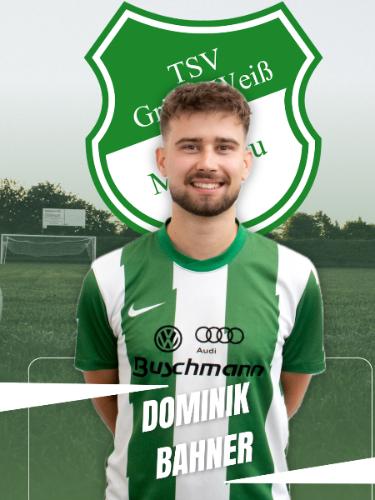 Dominik Bahner
