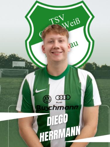 Diego Jimmy Herrmann