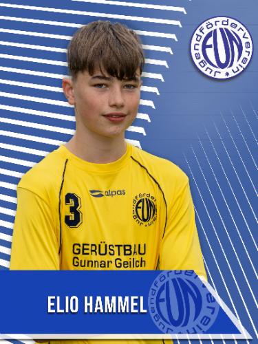 Elio Hammel