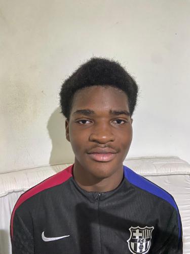 Manuel Felix Junior Gomes