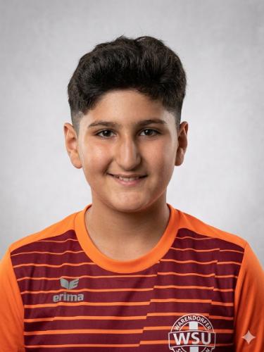 Raman Ahmadi