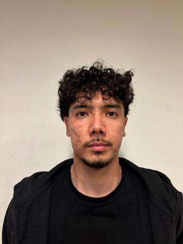 Mohamed Ahmadi