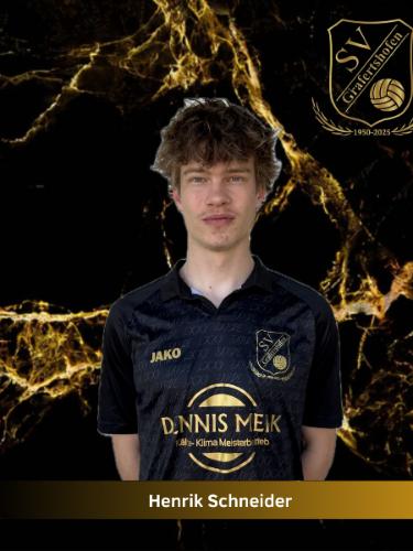 Henrik Schneider