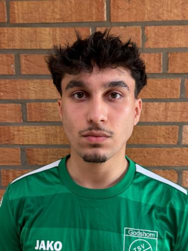 Ahmad Shahab Shirzad