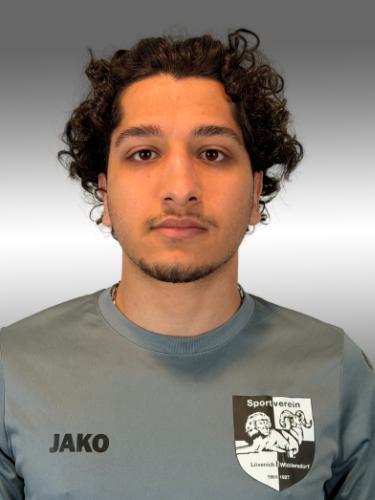 Shayan Mohseni
