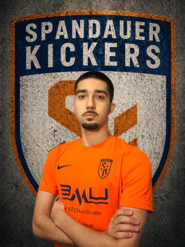 Arda Ulugercek