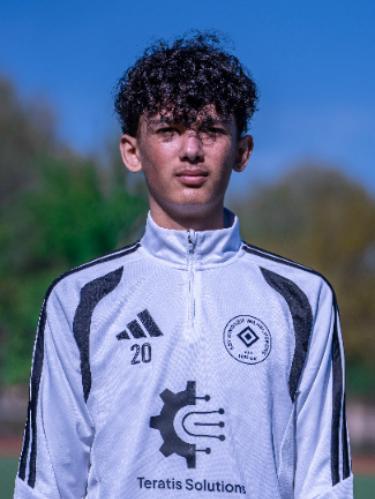 Mahid Alhosin