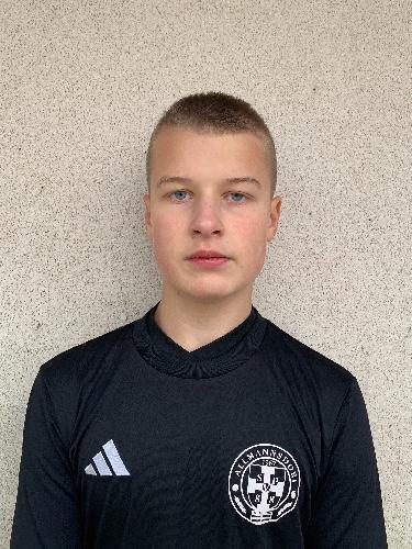 Vincent Bedenk