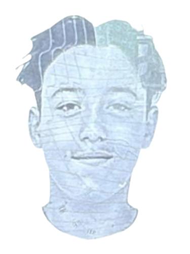 Francisco David Amal Hernandez