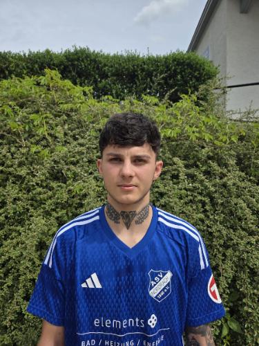 Andrei Bodea
