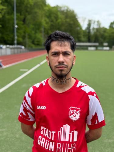 Demirovic Zenka