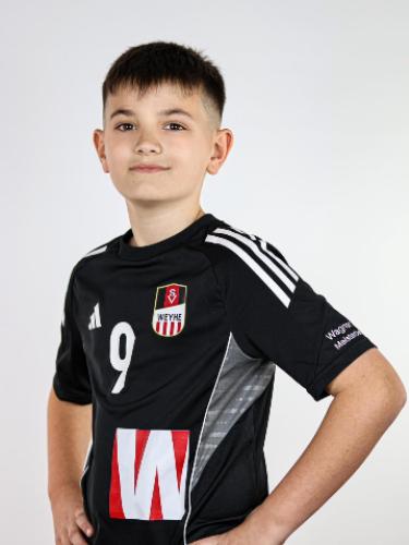 Dion Iseni