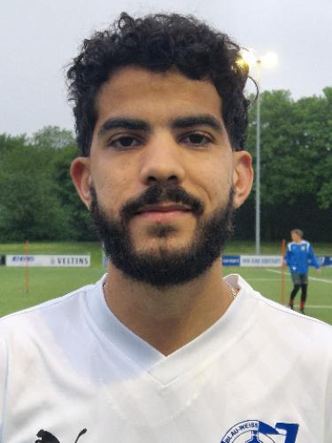 Mehdi Badi
