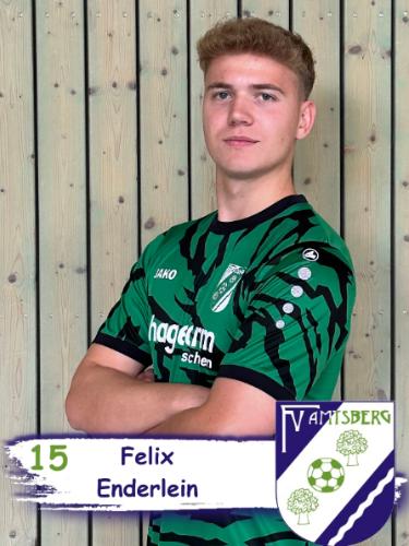 Felix Enderlein