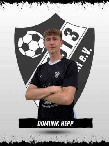 Dominik Hepp