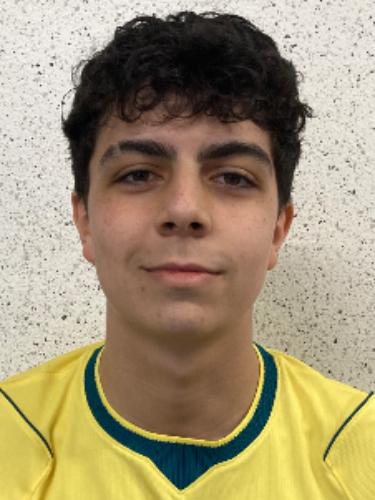 Lucas Gabriel Sutil Nobrega De Almeida Pereira