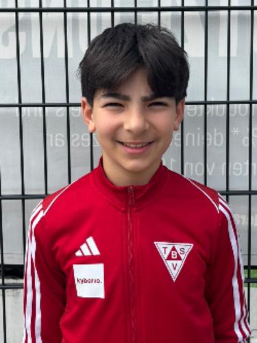 Roni Mir Celik
