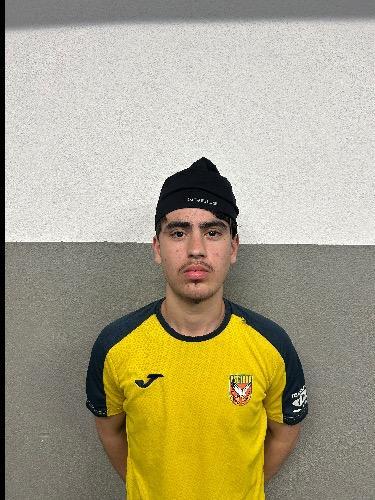 Zidan Ba Erinc