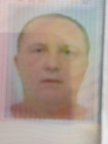 Nedzad Kaltak