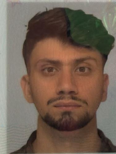 Mohammad Ferdous Safi