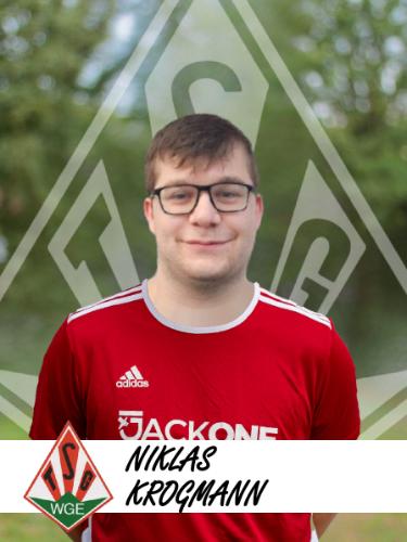 Niklas Krogmann