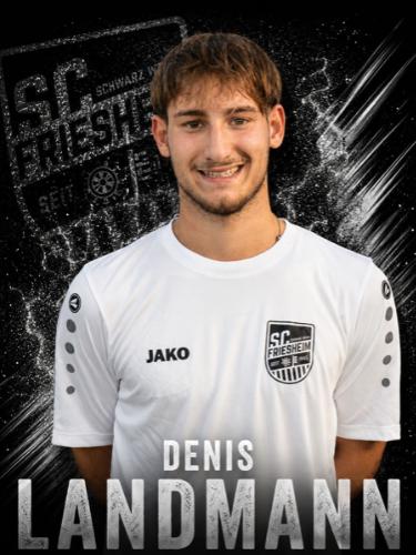 Denis Landmann